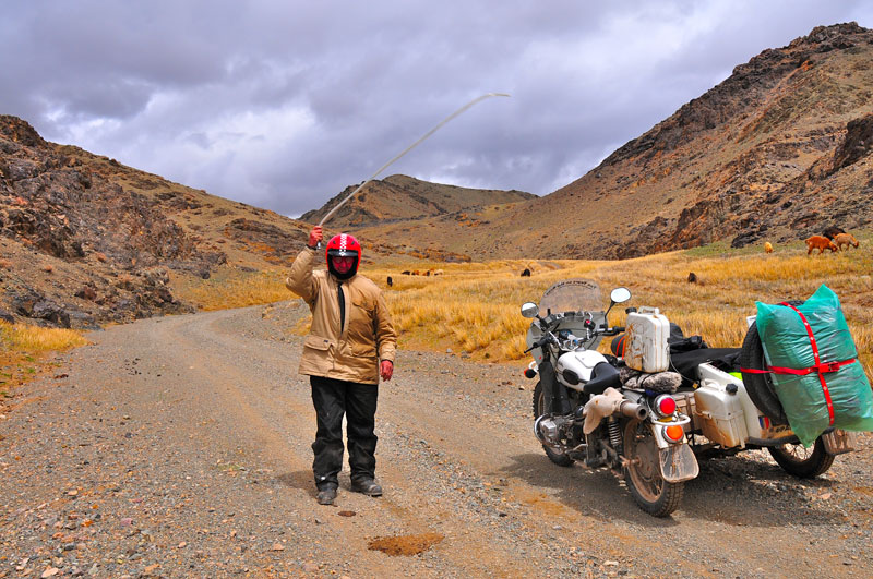 Mongolie